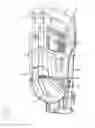 Fig. 02 - BELT COOLING SYSTEM