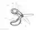 Fig. 01 - Children's Ergonomic Scissors