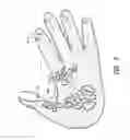 Fig. 07 - Utility glove