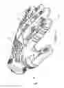 Fig. 11 - Utility glove