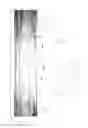 Fig. 02 - Extruded board with realistic appearance