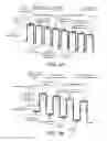 Fig. 05 - Forming apparatus and forming method
