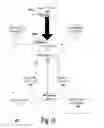 Fig. 16 - System and method for printing three-dimensional objects