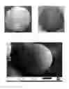 Fig. 02 - NANOCOMPOSITE MICROCAPSULES FOR SELF-HEALING OF COMPOSITE ARTICLES
