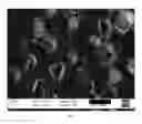 Fig. 03 - NANOCOMPOSITE MICROCAPSULES FOR SELF-HEALING OF COMPOSITE ARTICLES