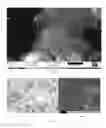 Fig. 06 - NANOCOMPOSITE MICROCAPSULES FOR SELF-HEALING OF COMPOSITE ARTICLES