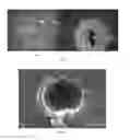Fig. 08 - NANOCOMPOSITE MICROCAPSULES FOR SELF-HEALING OF COMPOSITE ARTICLES