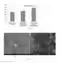Fig. 09 - NANOCOMPOSITE MICROCAPSULES FOR SELF-HEALING OF COMPOSITE ARTICLES