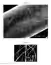 Fig. 05 - Film