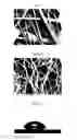 Fig. 06 - Film