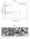 Fig. 19 - Film