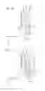 Fig. 11 - Liquid ejecting apparatus and wiping method
