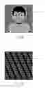 Fig. 33 - Image display and labeled device