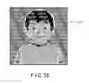 Fig. 34 - Image display and labeled device