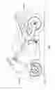 Fig. 02 - WHEELIE DETERMINING DEVICE, VEHICLE, AND METHOD OF DETERMINING LIFT-OFF OF WHEEL
