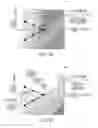 Fig. 04 - Wheelie suppressing device