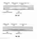 Fig. 06 - Systems, methods, and apparatus related to mutual detection and identification of electric vehicle and charging station