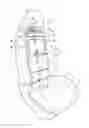 Fig. 01 - Thoracic Support Assembly for a Seat Back