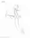 Fig. 05 - BRAKE PEDAL DEVICE FOR AUTOMOBILE