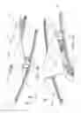 Fig. 02 - Dolly system