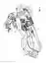 Fig. 03 - Two-wheeled vehicle