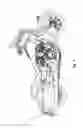 Fig. 05 - Two-wheeled vehicle