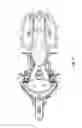 Fig. 06 - Two-wheeled vehicle