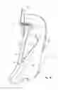 Fig. 19 - Two-wheeled vehicle