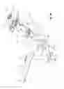 Fig. 29 - Two-wheeled vehicle