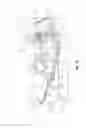 Fig. 32 - Two-wheeled vehicle