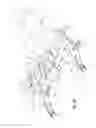 Fig. 40 - Two-wheeled vehicle