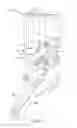 Fig. 04 - BICYCLE ELECTRICAL COMPONENT