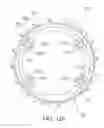 Fig. 12 - BICYCLE SPROCKET AND BICYCLE SPROCKET ASSEMBLY