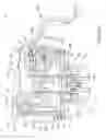 Fig. 18 - Beverage container closure with venting