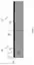 Fig. 03 - Method of forming a protective coating for a packaged semiconductor device