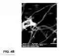 Fig. 06 - Method for preparing multi-wall carbon nanotubes using chemical vapor deposition with an atomization system
