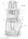 Fig. 07 - Integrated faucet filtration system