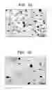 Fig. 14 - PIEZOELECTRIC CERAMICS, AND PIEZOELECTRIC ELEMENT, AND ELECTRONIC EQUIPMENT CONTAINING PIEZOELECTRIC CERAMICS