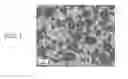 Fig. 02 - Cubic boron nitride sintered body cutting tool