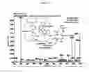 Fig. 13 - Sulfonamide compounds and their use as STAT5 inhibitors