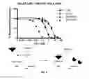 Fig. 10 - Androgen receptor antagonists
