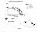 Fig. 13 - Androgen receptor antagonists