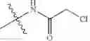 Fig. 206 - Androgen receptor antagonists