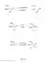 Fig. 02 - 1,2,4-oxadiazole derivatives as immunomodulators