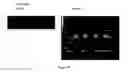 Fig. 19 - Leveling composition and method for electrodeposition of metals in microelectronics