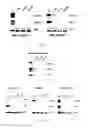 Fig. 02 - Benzimidazole analogues and related methods