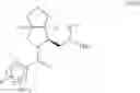 Fig. 22 - Substituted prolines/piperidines as orexin receptor antagonists