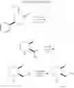 Fig. 31 - Substituted prolines/piperidines as orexin receptor antagonists