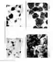 Fig. 05 - Process for producing crystalline DTPMP