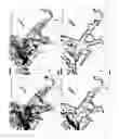 Fig. 13 - Process for producing crystalline DTPMP